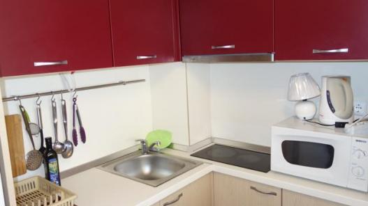 Kitchen in the 1 bedroom apartment for sale in Elenite